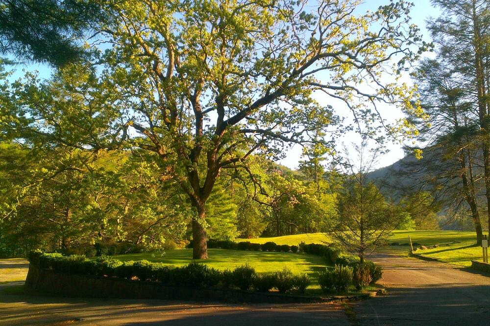 Photo of Outdoor in Sapphire