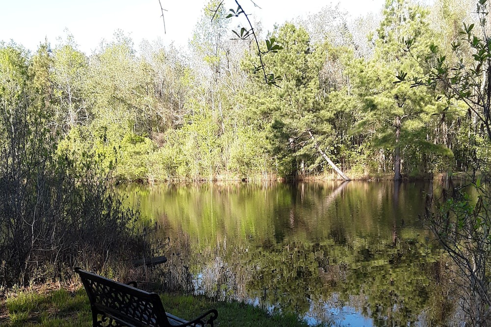 Photo of Outdoor in Dover