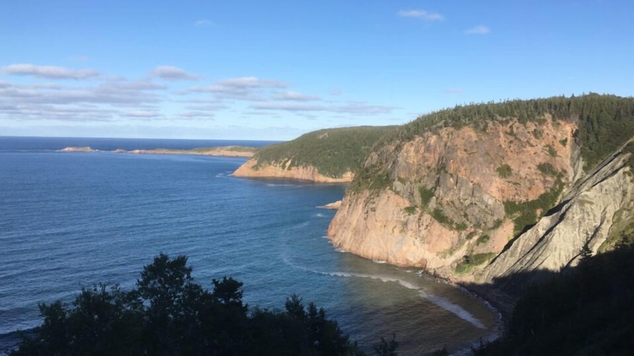 Photo of Others in South Harbour