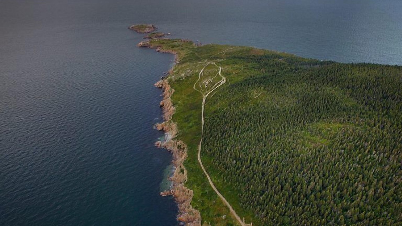 Photo of Outdoor in South Harbour