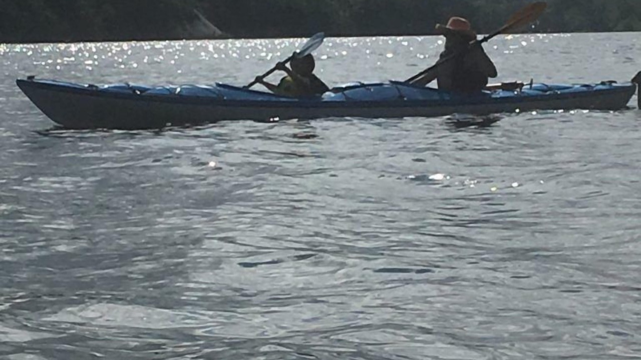 Photo of Outdoor in South Harbour
