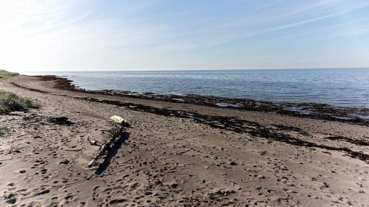 Photo of Others in Sainte-Flavie