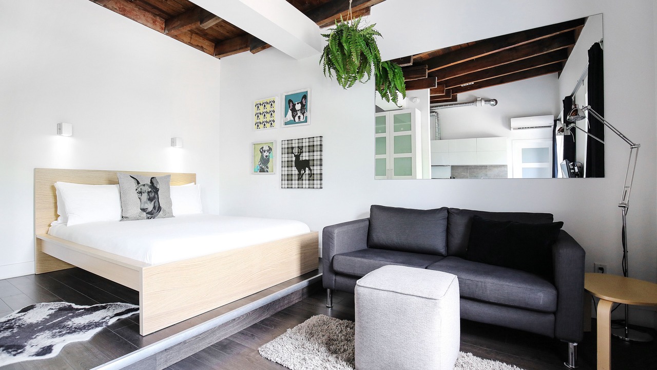 Photo of Livingroom in Plateau Mont Royal