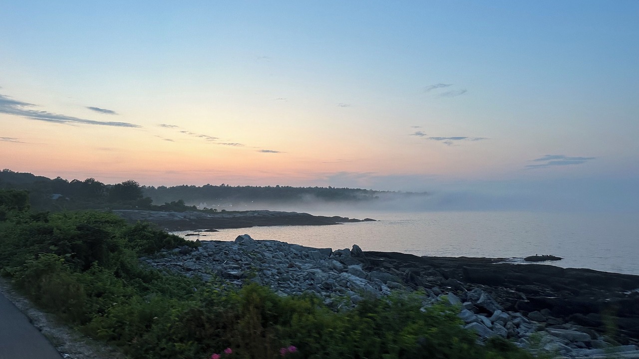 Photo of Others in Peaks Island