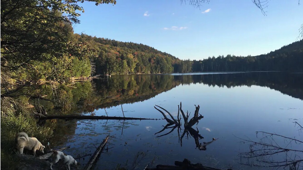 Photo of Outdoor in Lakeview