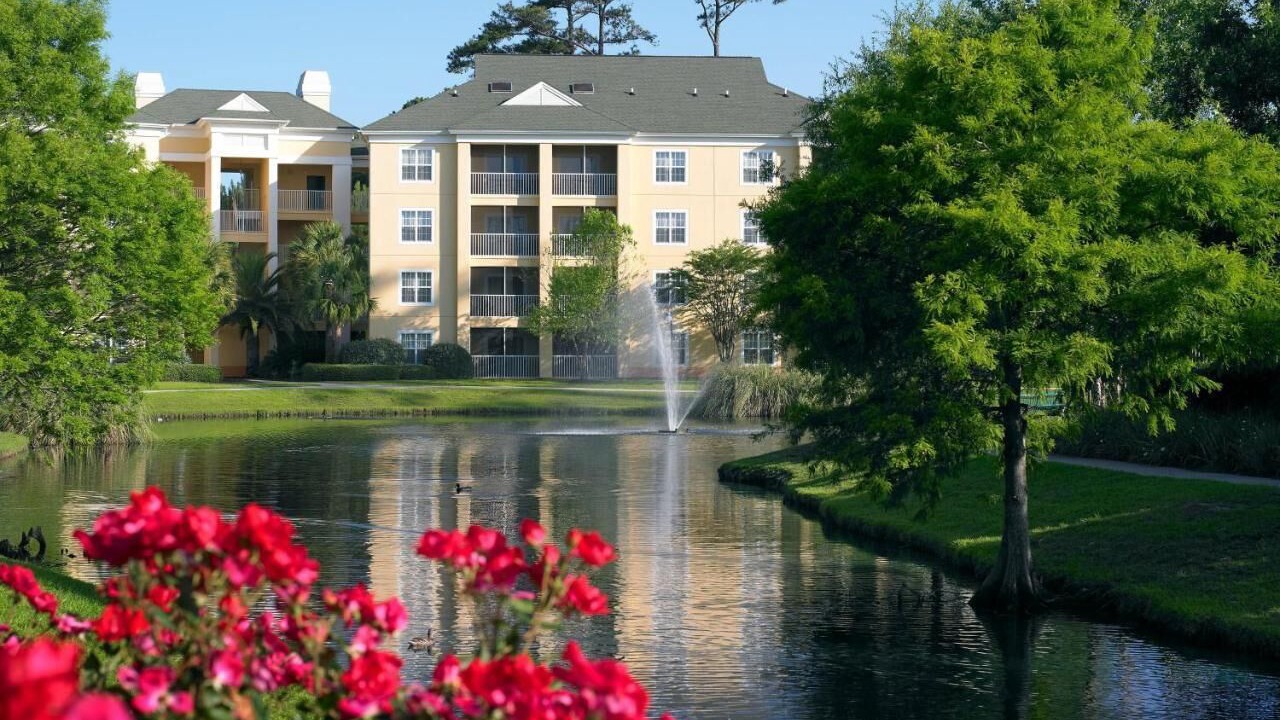 Photo of Outdoor in Carolina Forest