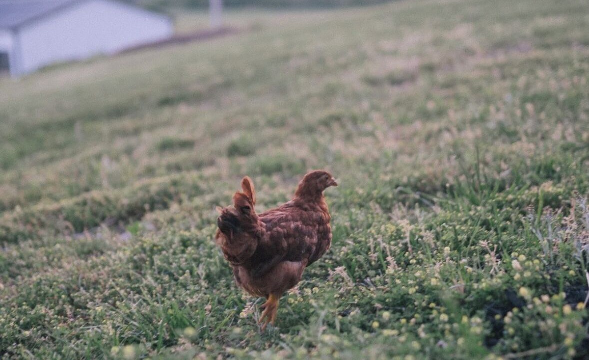 Photo of Outdoor in Knoxville