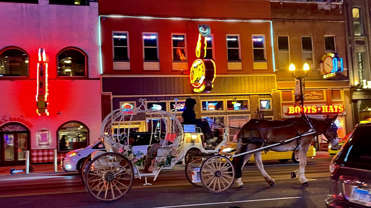 Photo of Others in Nashville