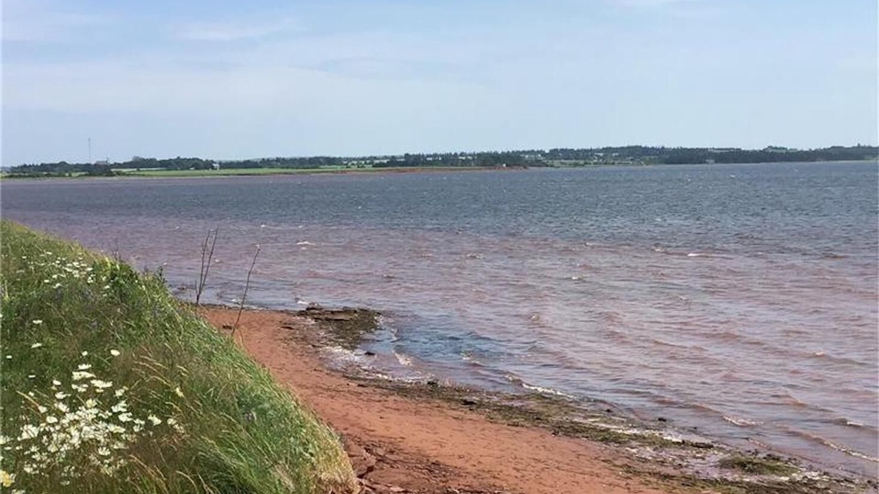Photo of Others in Malpeque