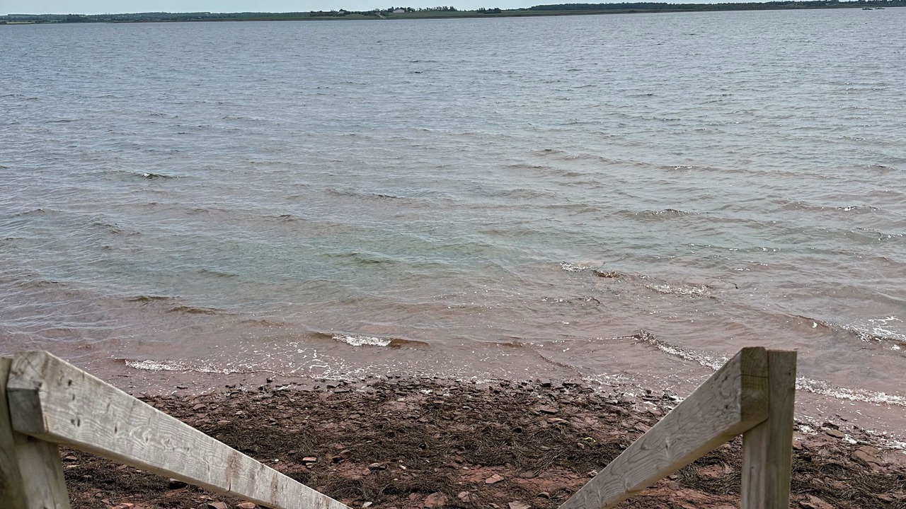Photo of Others in Malpeque