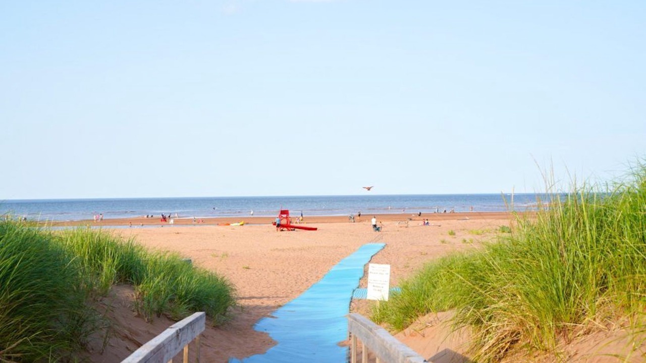 Photo of Others in Malpeque