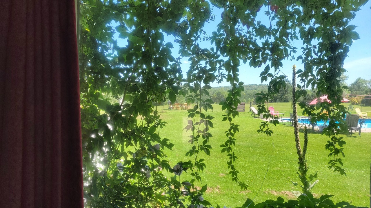 Photo of Others in Chatsworth