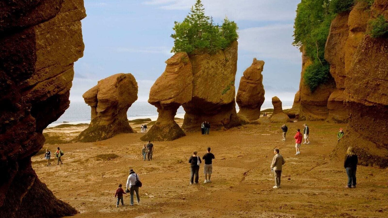 Photo of Others in Shediac