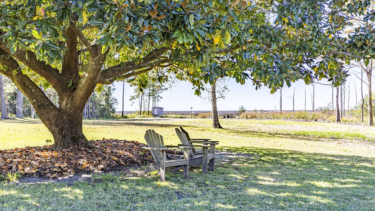 Photo of Outdoor in Wanchese