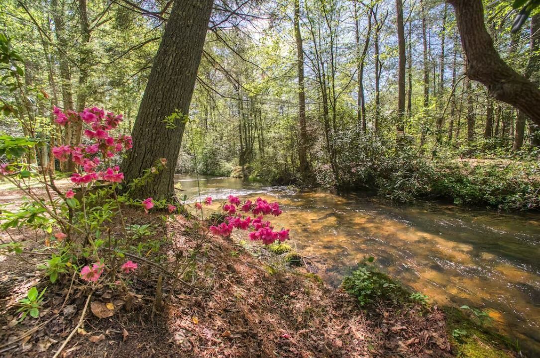 Photo of Others in Ellijay