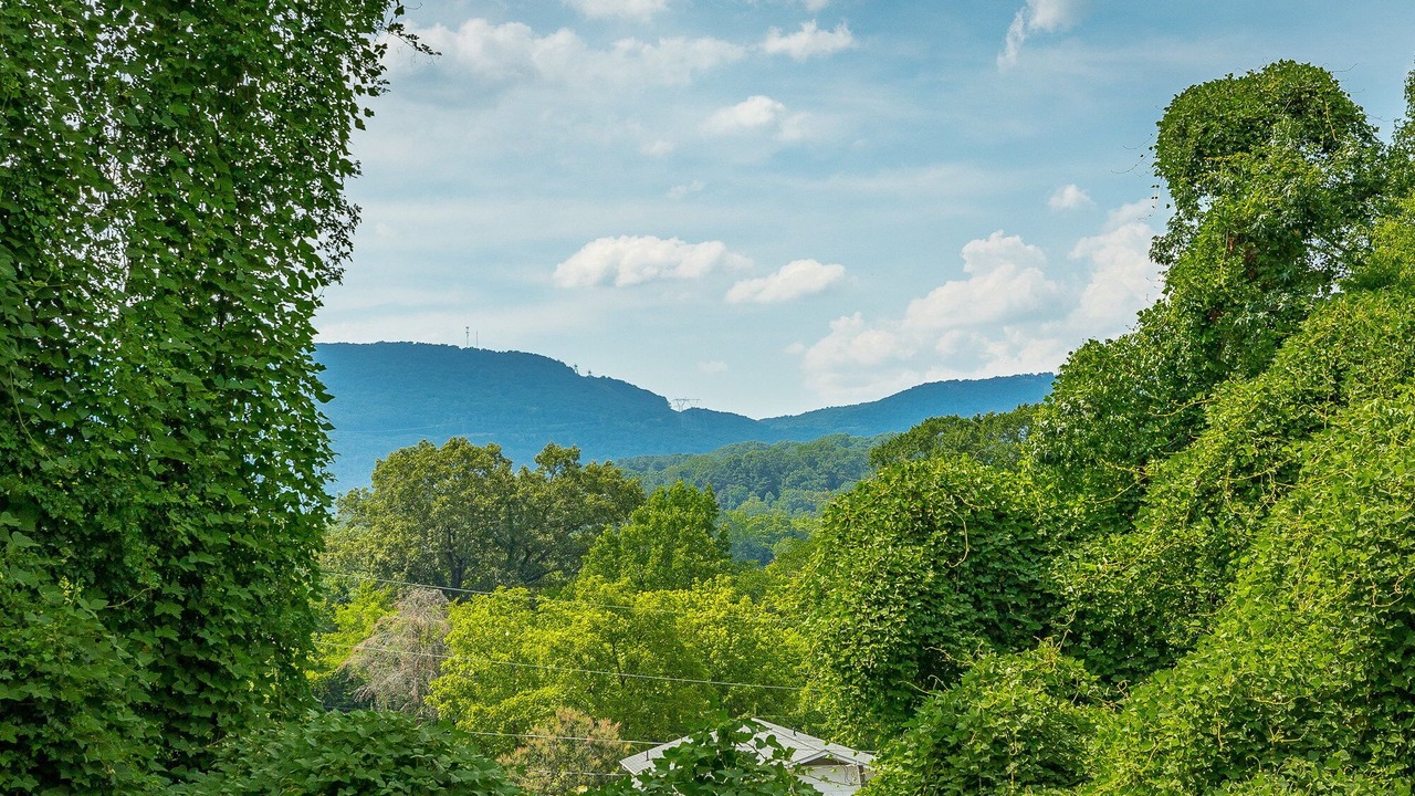 Photo of Outdoor in Chattanooga