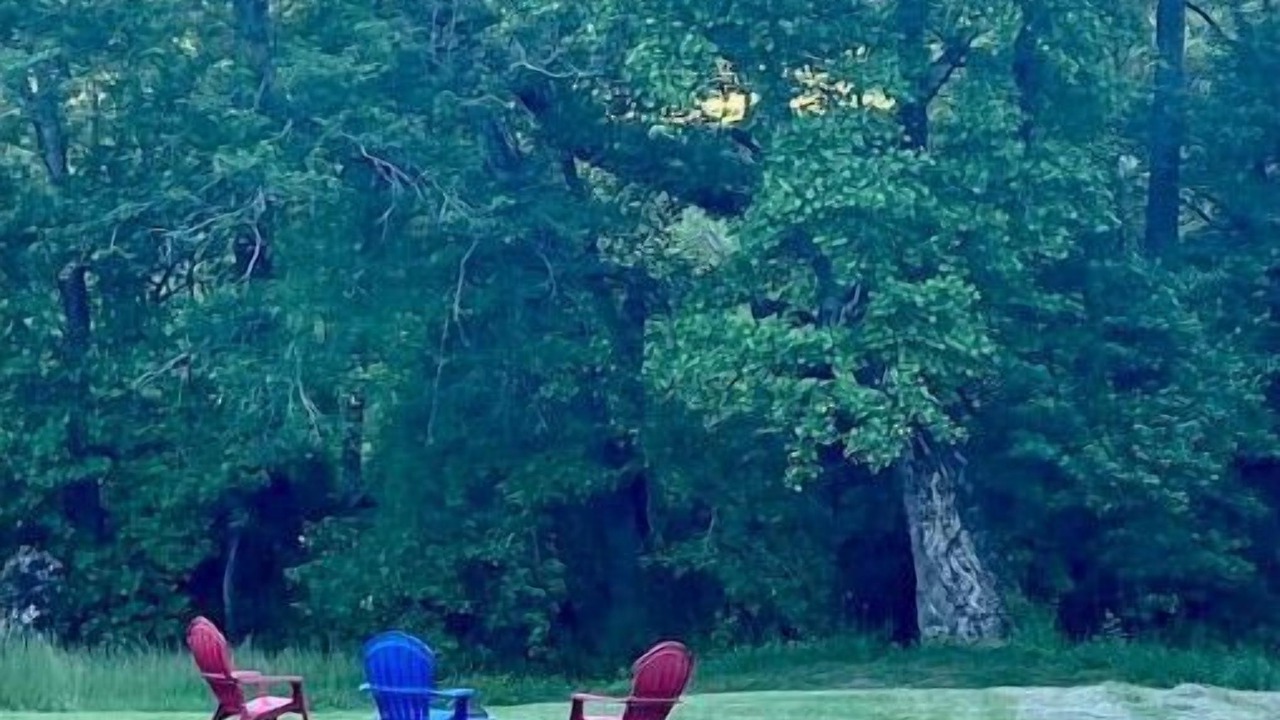 Photo of Outdoor in Traphill
