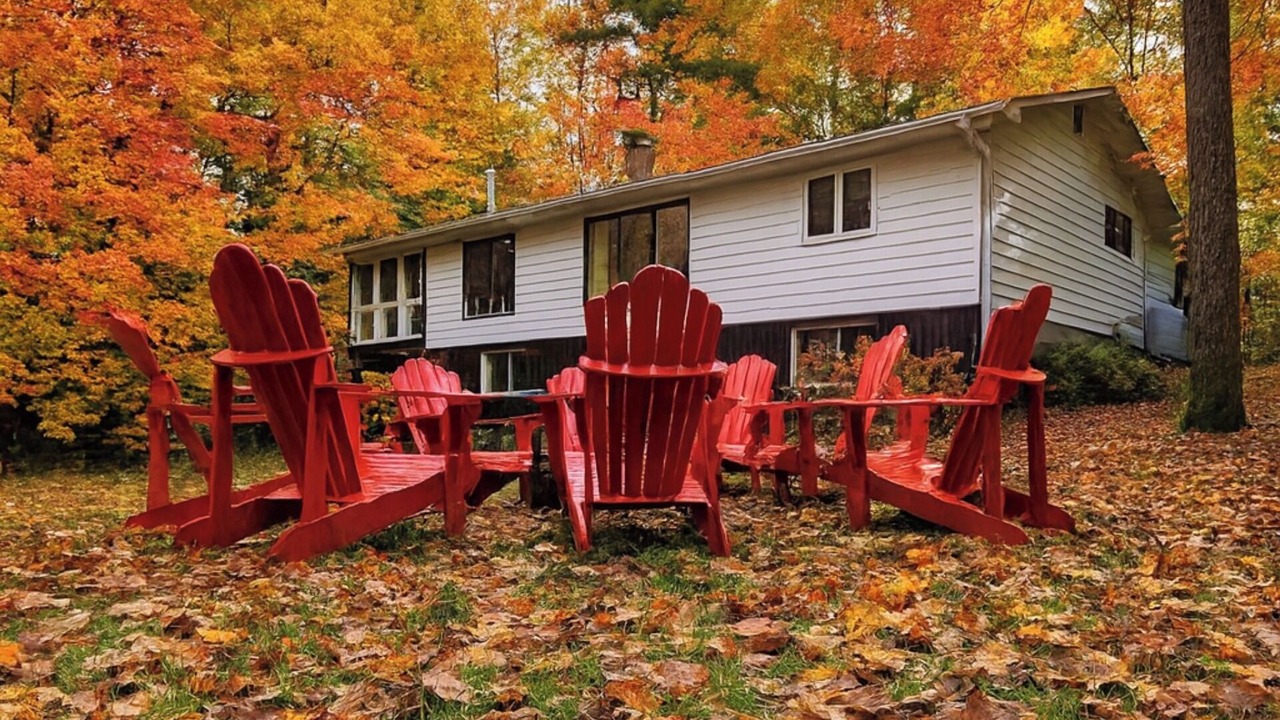 Photo of Outdoor in Bracebridge