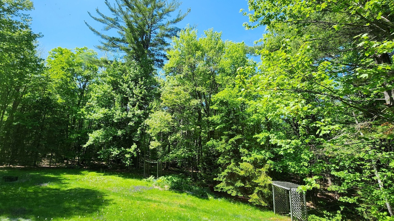 Photo of Outdoor in Bracebridge