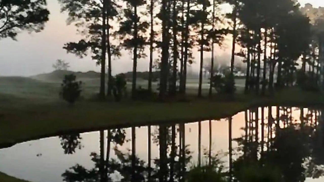 Photo of Others in Waterford Plantation