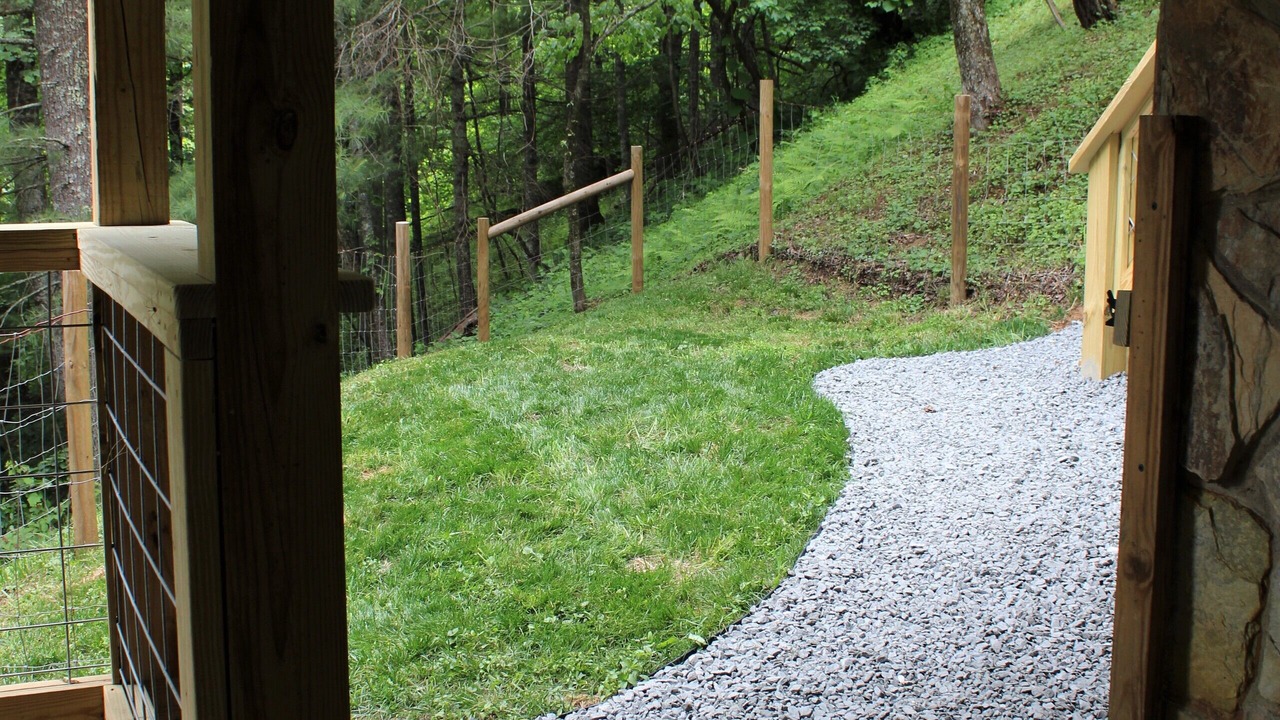 Photo of Outdoor in Wilkes County