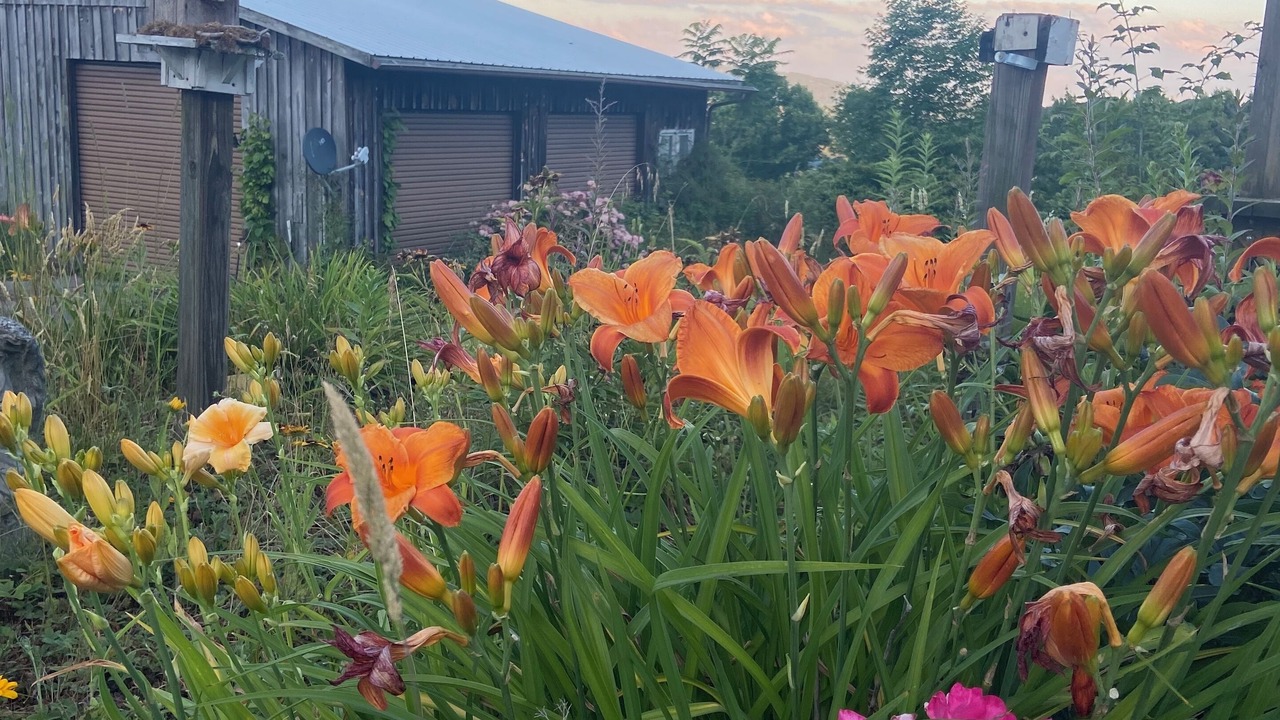 Photo of Outdoor in Wilson Creek