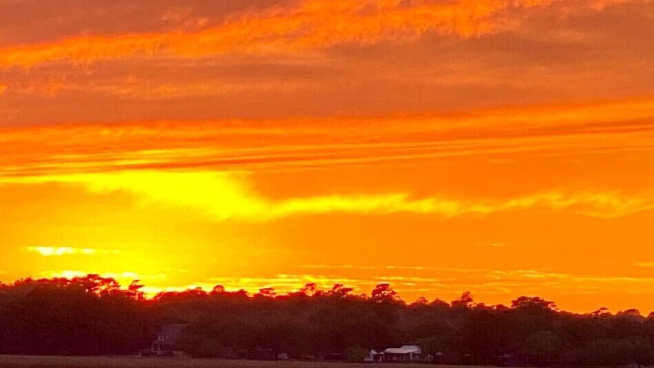 Photo of Outdoor in Pawleys Island