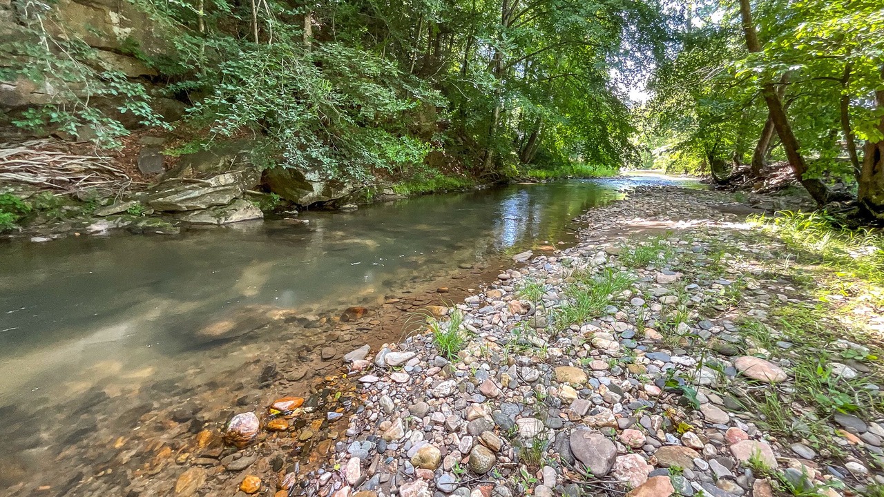 Photo of Outdoor in Millers Creek