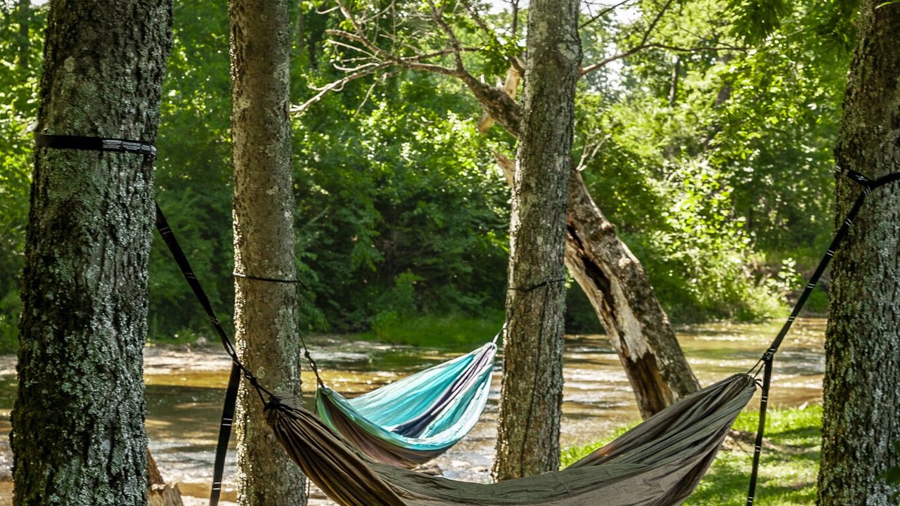 Photo of Outdoor in Hendersonville