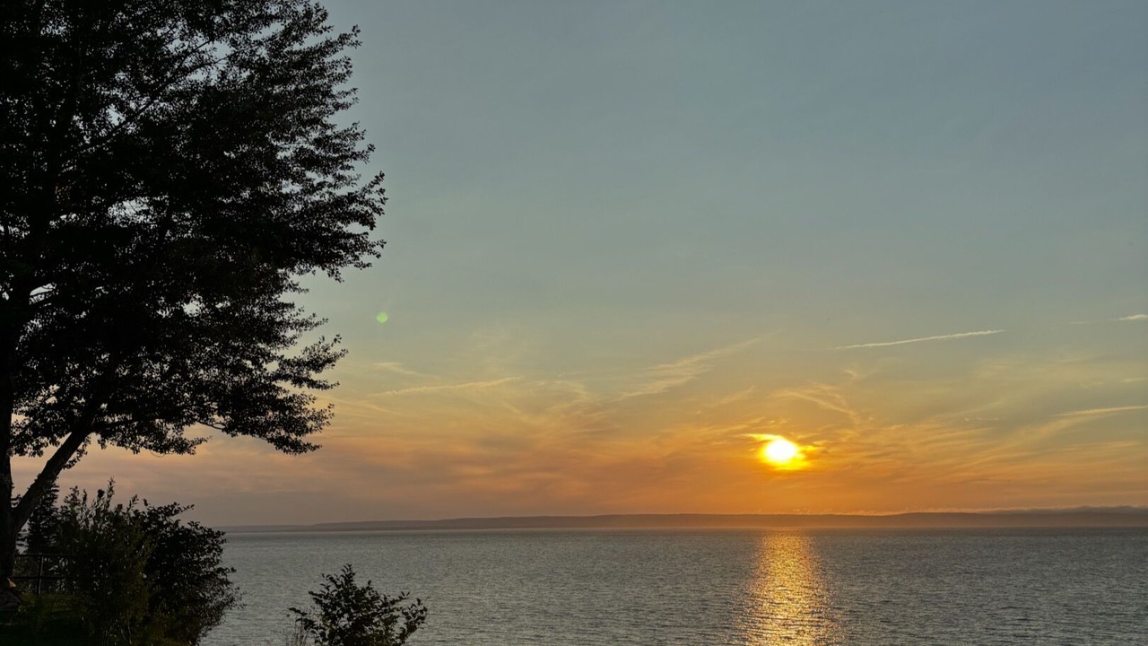 Photo of Outdoor in Newport Landing