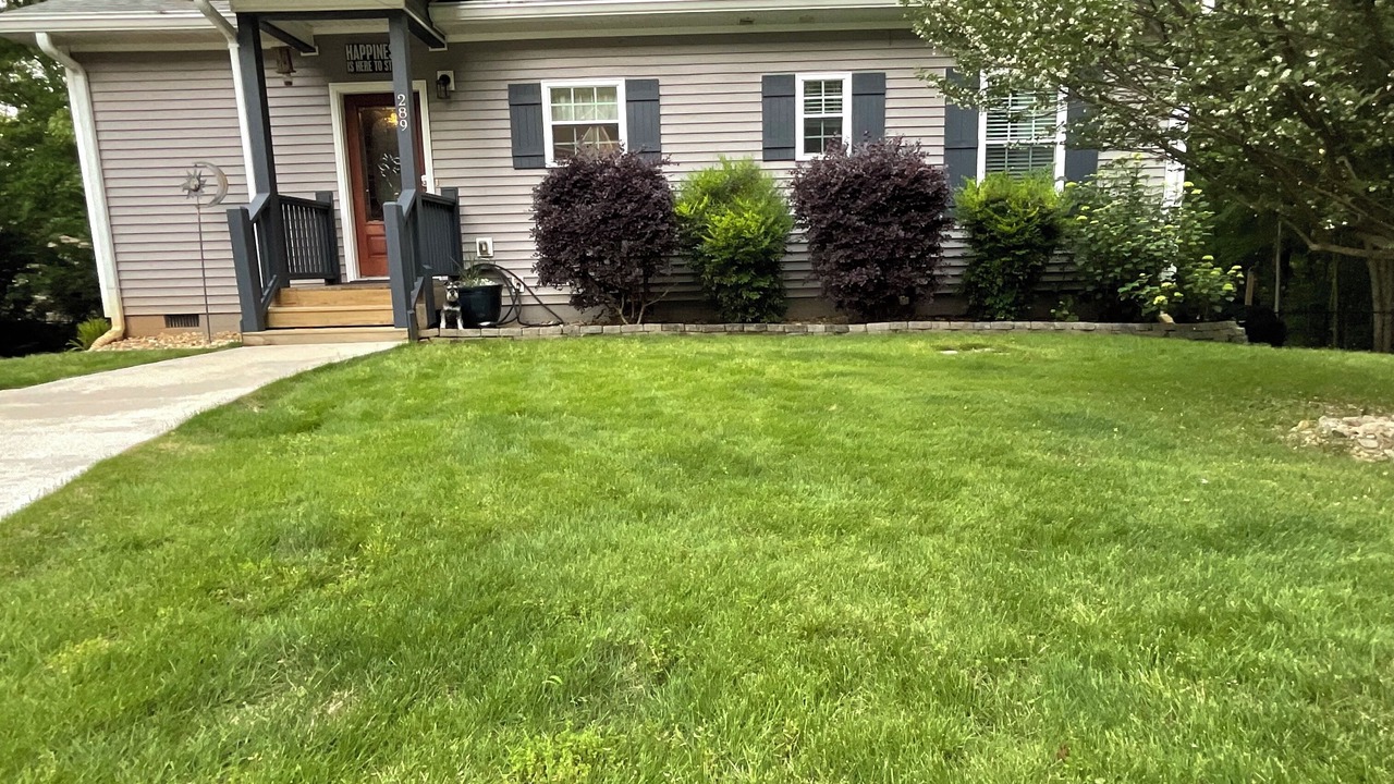Photo of Outdoor in Westminster