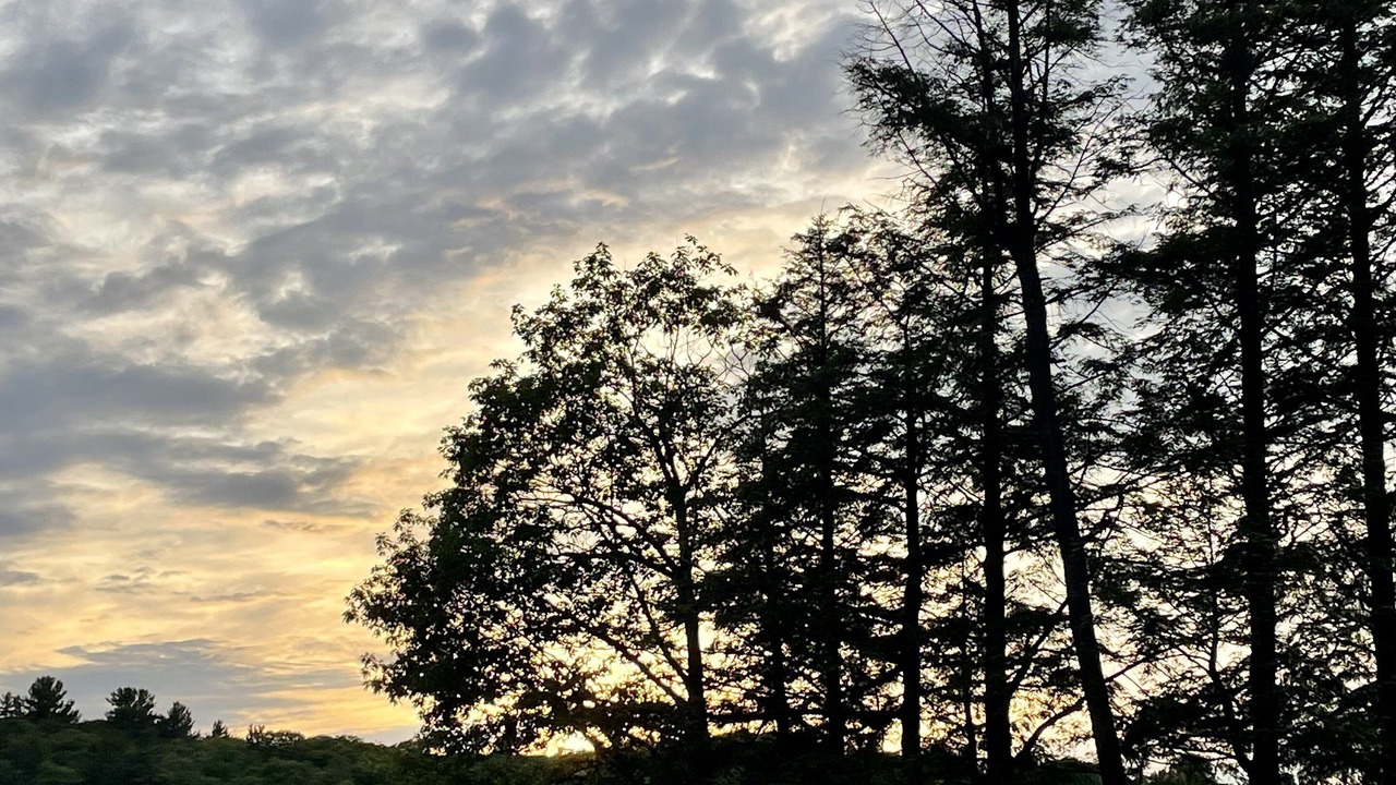 Photo of Outdoor in Seguin