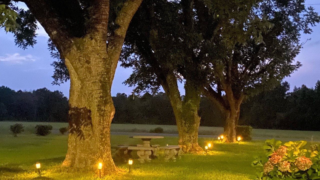 Photo of Outdoor in Tabor City