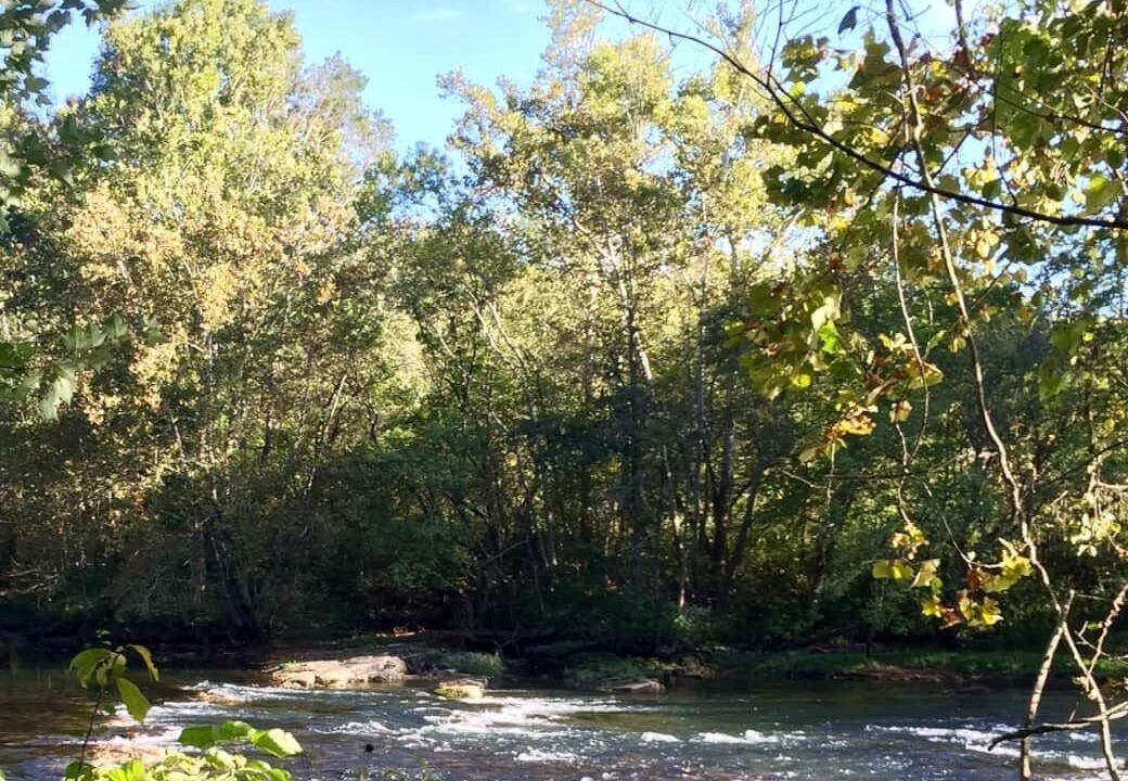 Photo of Outdoor in Bluff City