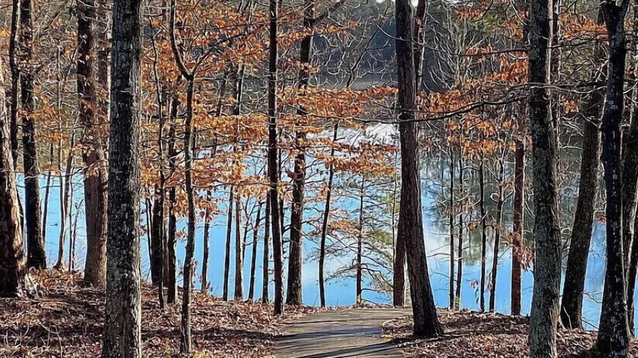 Photo of Outdoor in Townville