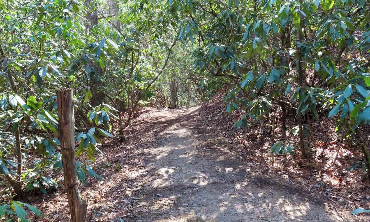 Photo of Outdoor in Brevard