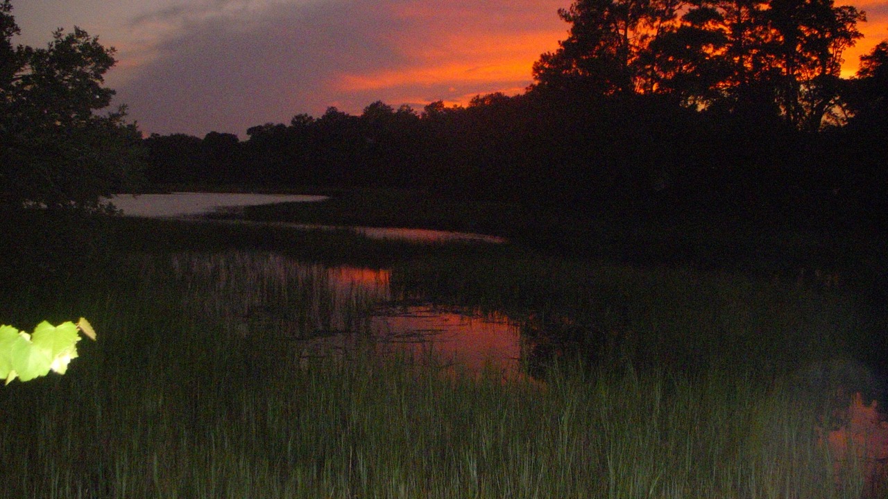 Photo of Others in Wilmington