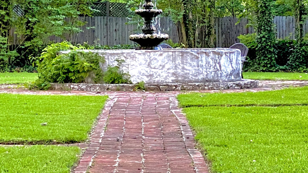 Photo of Outdoor in Helotes