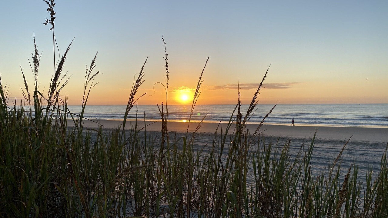 Photo of Others in Surfside Beach