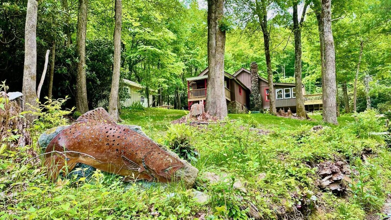 Photo of Outdoor in Newland