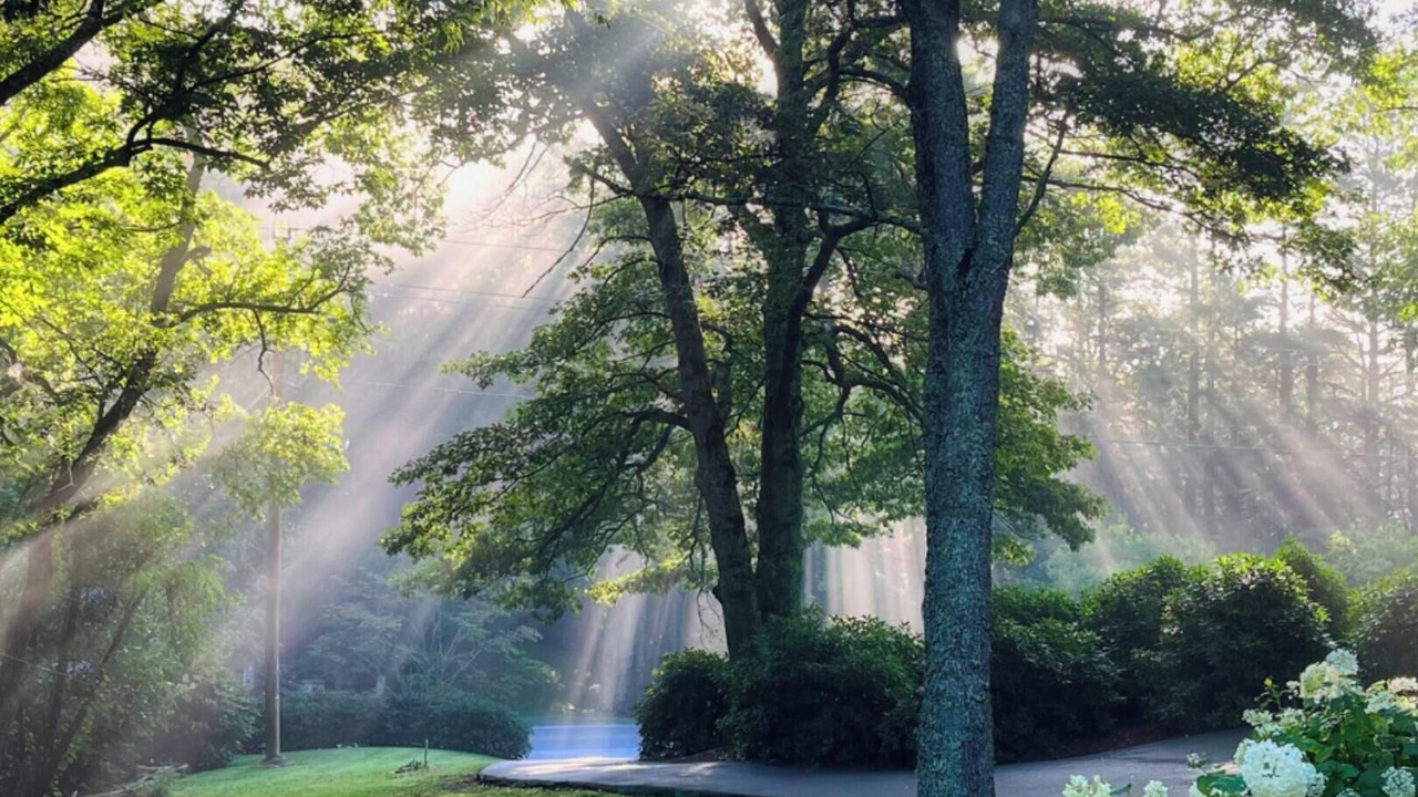 Photo of Outdoor in Cullowhee
