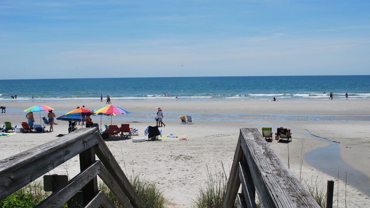 Photo of Others in Arcadian Shores