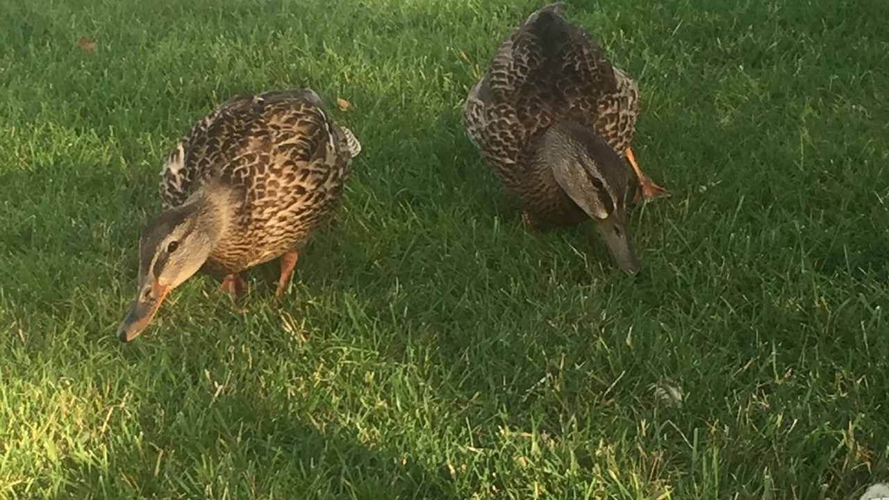 Photo of Outdoor in Cumberland Beach