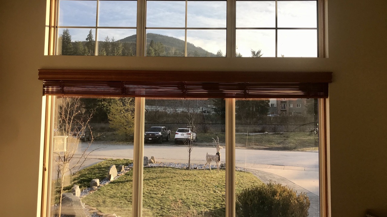 Photo of Others in Nelson