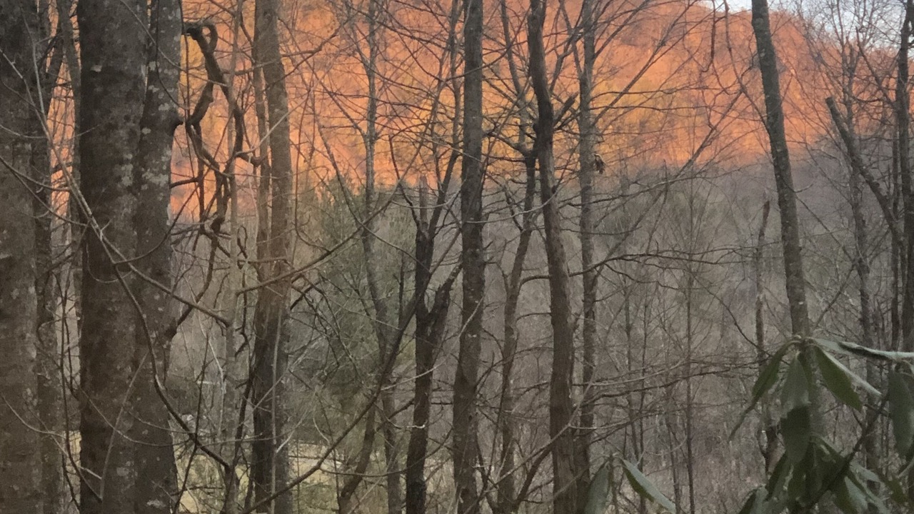 Photo of Outdoor in West Jefferson