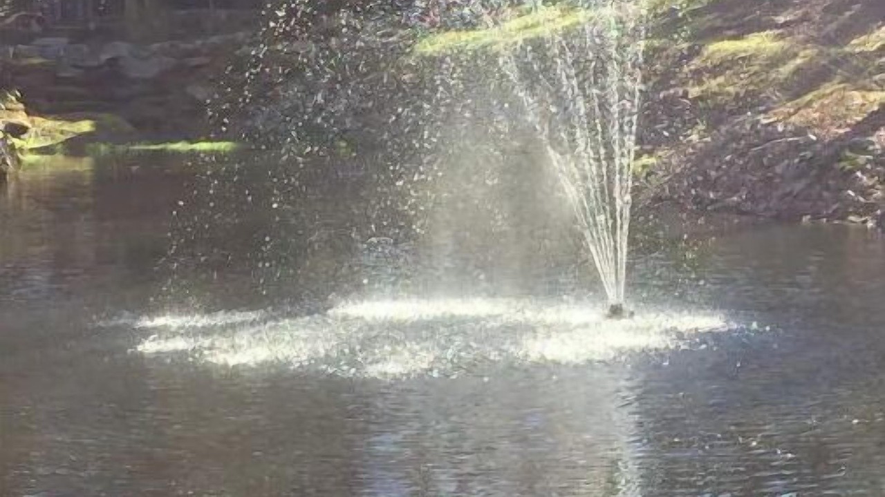 Photo of Outdoor in Glenville
