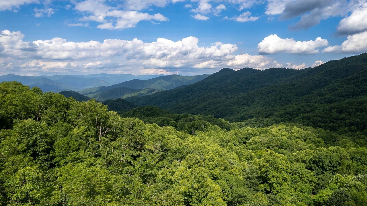Photo of Others in Cullowhee