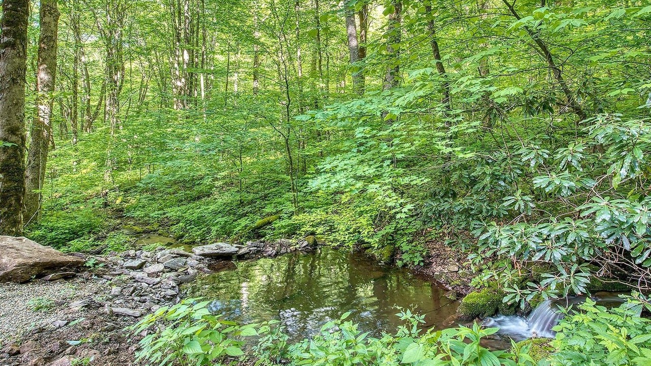 Photo of Others in Maggie Valley