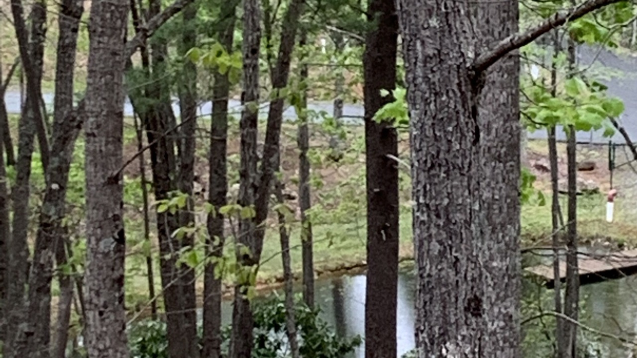 Photo of Others in Moravian Falls