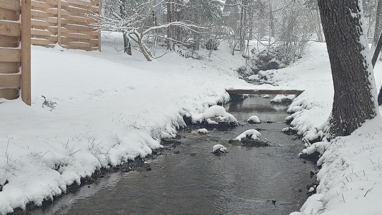 Photo of Others in Mount Juliet